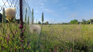 PARCELA SEGREGADA EN CHICLANA