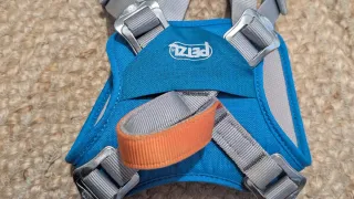 Arnés escalada infantil Petzl Ouistiti