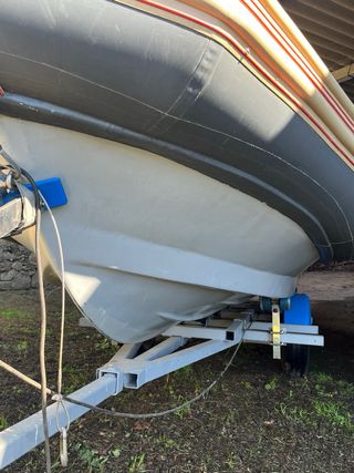 Semirrígida Narwhal 480