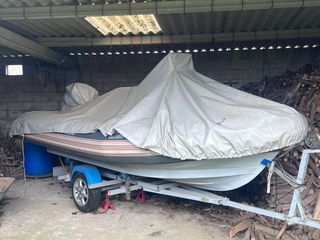 Semirrígida Narwhal 480