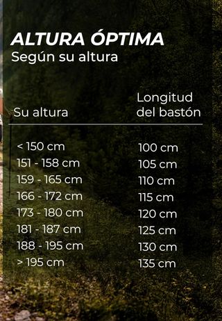Bastones de fibra de carbono para senderismo