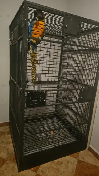 Jaula grande para loro