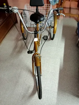 Bicicleta de 3 ruedas dorada