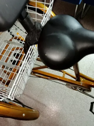 Bicicleta de 3 ruedas dorada