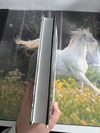 Libro La escuadra costera de Alexander Kent