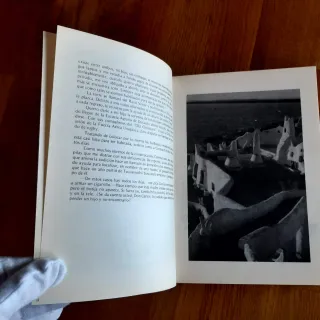 Libros de la tragedia de los ANDES: 1ª Ed. 1982 Pá