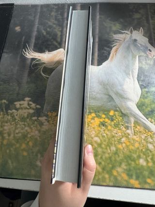 Libro Alexander Kent - Aires de Motín