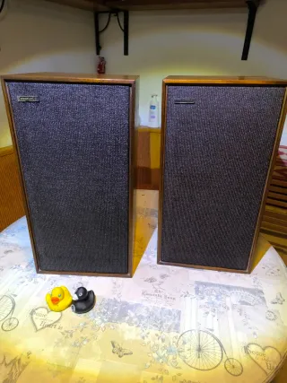 Celestion C County Altavoces