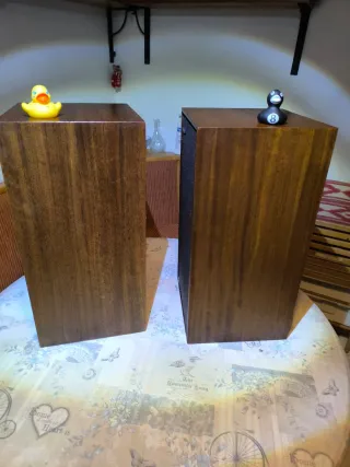 Celestion C County Altavoces