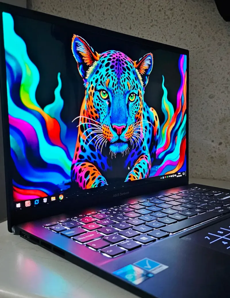 PORTATIL OLED ALTA GAMA afbeelding 5
