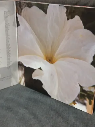 Seguridad Social Punk Rock Vinilo