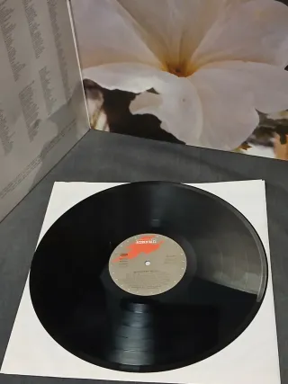 Seguridad Social Punk Rock Vinilo