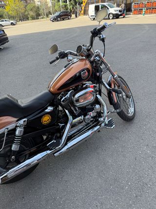 Harley Davidson Sportster 1200 Custom 105 Aniversa