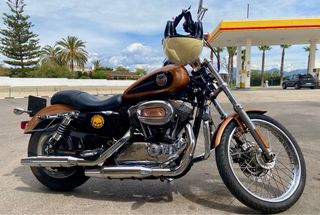 Harley Davidson Sportster 1200 Custom 105 Aniversa