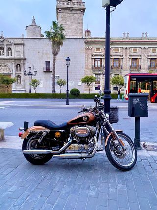 Harley Davidson Sportster 1200 Custom 105 Aniversa