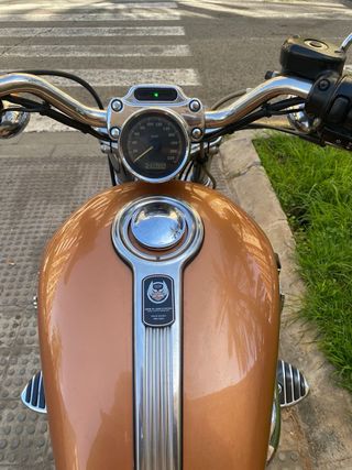 Harley Davidson Sportster 1200 Custom 105 Aniversa