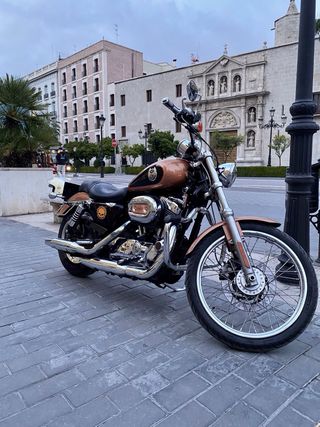 Harley Davidson Sportster 1200 Custom 105 Aniversa