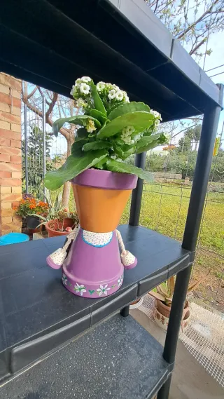 Macetas de terracota pintadas a mano