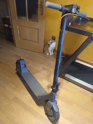 Patinete Eléctrico Xiaomi