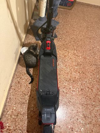 Patinete Eléctrico Segway ZT