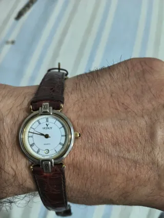 Reloj Viceroy Mujer Marrón y Dorado