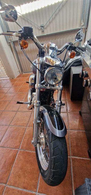 Harley Davidson 1200 Custom Con 20000 km