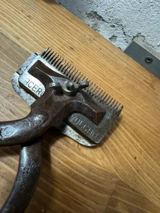 Tijeras de esquilar antiguas