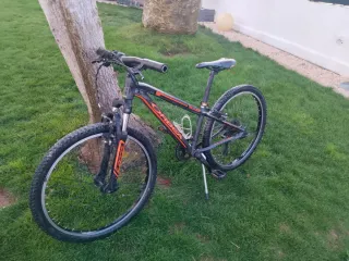 Bicicleta Orbea Niño 24