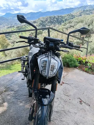 KTM Duke 125 2024