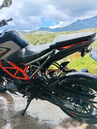KTM Duke 125 2024