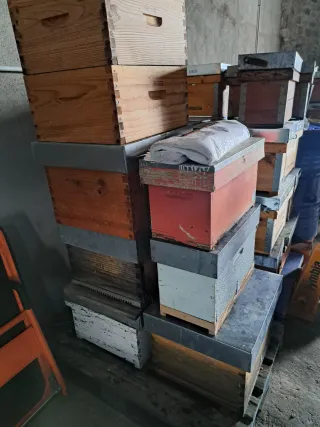 Colmenas Langstroth sin abejas