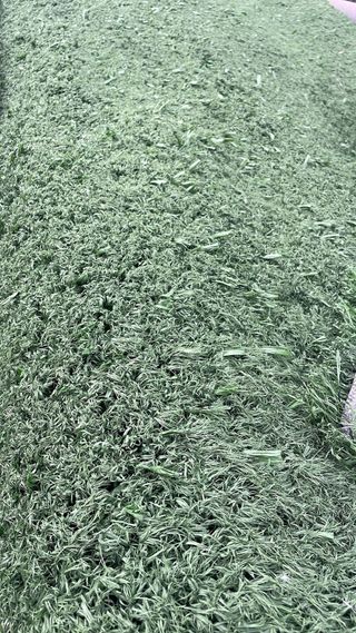 Césped desde 3,50€ tenemos muchos modelos
