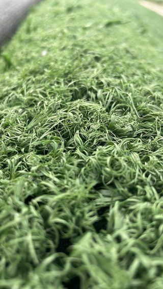 Césped desde 3,50€ tenemos muchos modelos