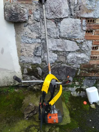 Desbrozadora de gasolina