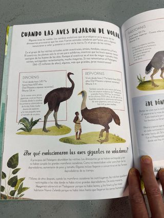 Cuando las ballenas caminaban: Y otras aventura...