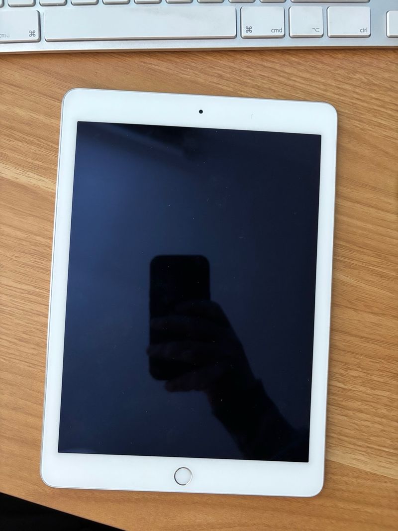 iPad Air 2 Wi-Fi 16 GB Plata
