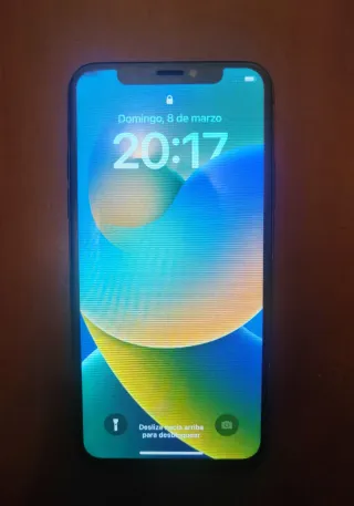 iPhone X 256 GB