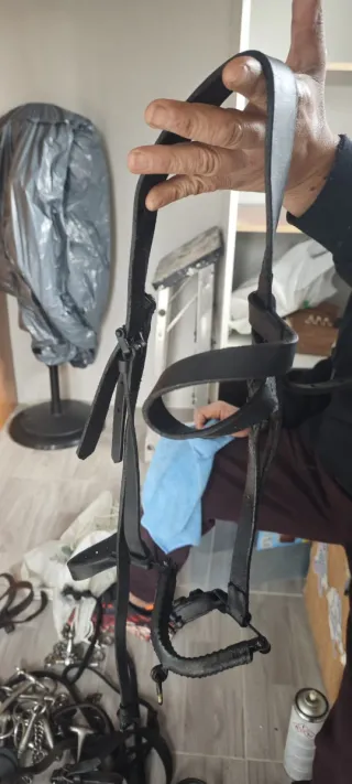 Cabezada de cuero y serreton