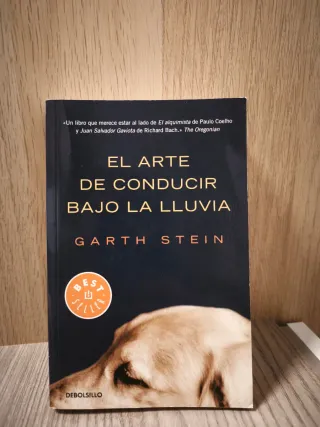 El arte de conducir bajo la lluvia