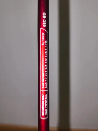 Cañas de pesca para depredadores