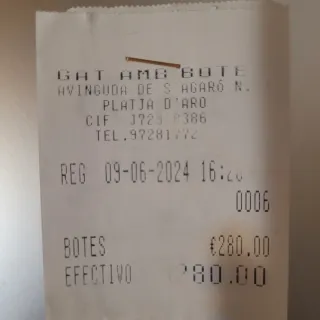 Botas camperas marrones con flecos