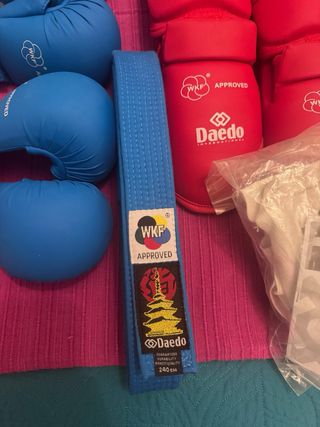 Protecciones Karate Daedo WKF Infantil