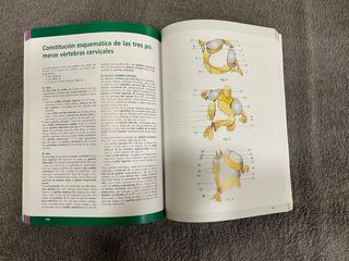 Libros Fisiología Articular Kapandji (3 tomos)
