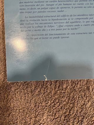 Libros Fisiología Articular Kapandji (3 tomos)