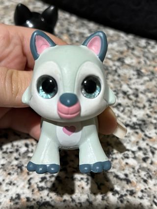 Cucciolo cane con occhioni Sbabam