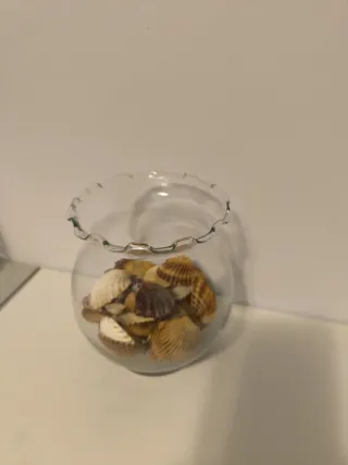 Jarrón decorativo de cristal con conchas