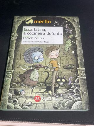 Pack libros en gallego en muy buen estado
