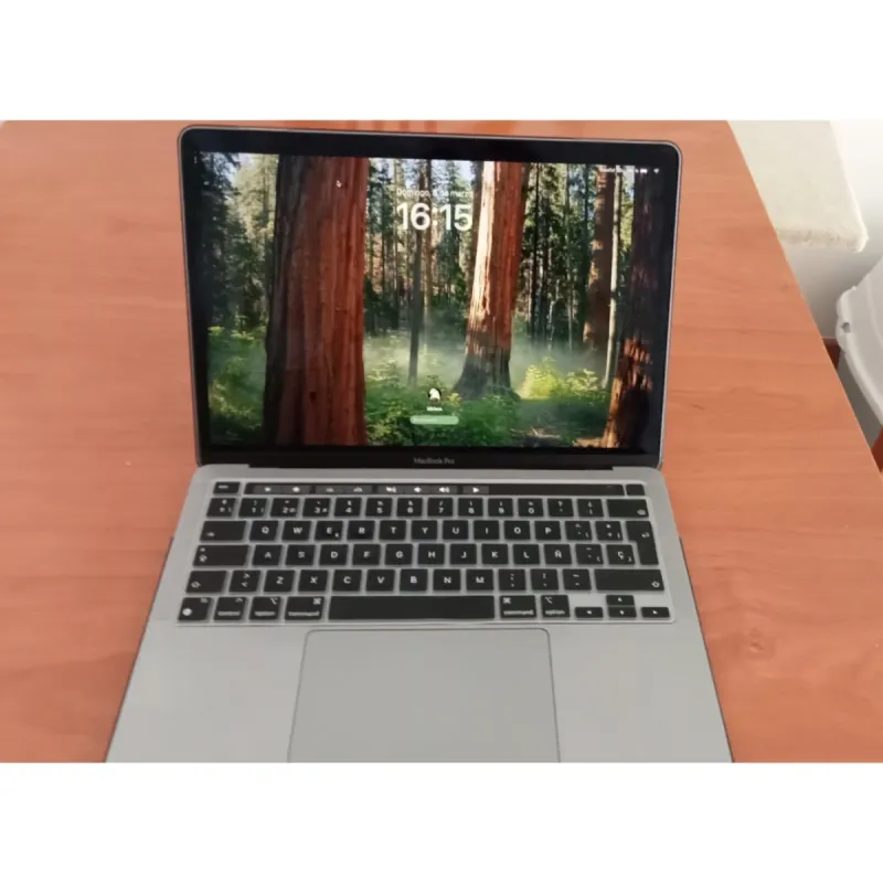 MacBook Pro Apple Gris/Plata