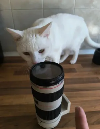 Objetivo Canon 70-200mm f/4 L USM