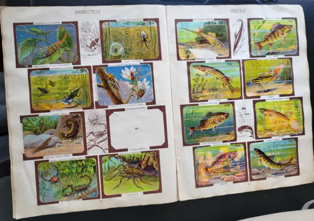 Álbum Chocolates Kike Zoología Tomo II